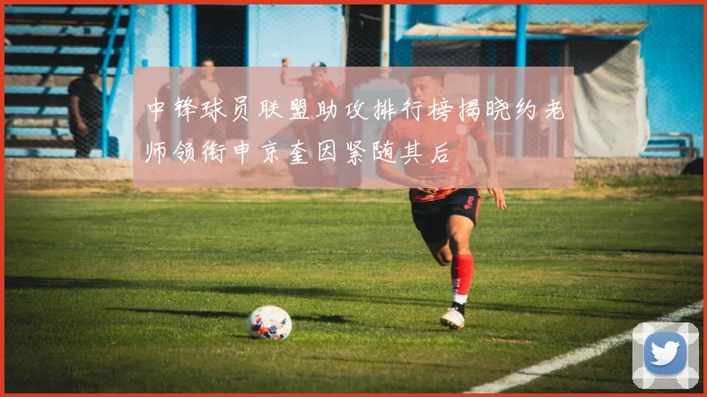 中锋球员联盟助攻排行榜揭晓约老师领衔申京奎因紧随其后