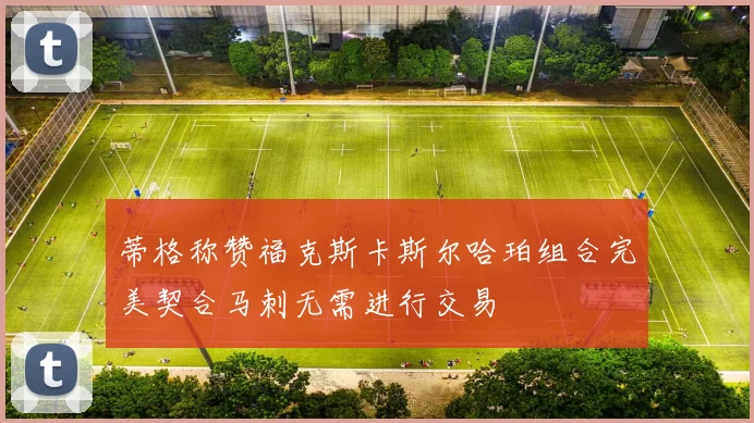 蒂格称赞福克斯卡斯尔哈珀组合完美契合马刺无需进行交易