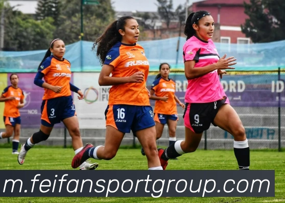 非凡体育发展历程